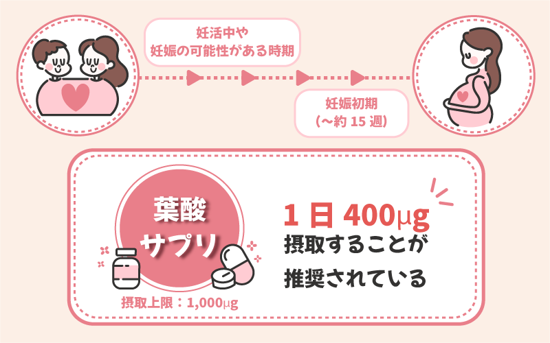 葉酸サプリの上限摂取量と推奨摂取量